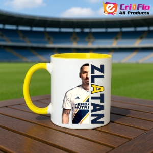 Cana Zlatan Ibrahimovici Best Play - Img 13