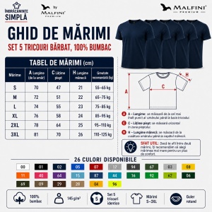 Set 5 Tricouri Bărbat în Aceeași Nuanță, 100% Bumbac, 145 g/m², Guler Rotund, 26 Culori, Mărimi S–3XL - Img 3