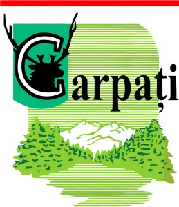 Tricou personalizat Carpati pentru dama - Img 4