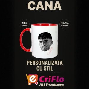 Cana cu fotbalistul Christian Pulisic-AC Milan - Img 23