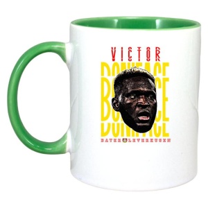 Cana cu fotbalistul Victor Okoh Boniface-Bayer Leverkusen - Img 5