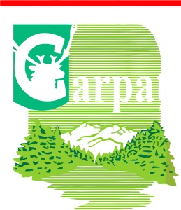 Tricou personalizat Carpati pentru dama - Img 5