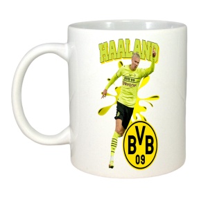 Cana Haaland Borussia - Img 3