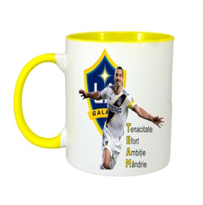 Cana Zlatan Ibra Team - Img 6