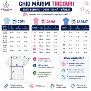 Tricou Leu Razboinic Samurai Gri Detalii Rosii, din bumbac 100%, tricou negru Copii | Dama | Barbat - Img 4