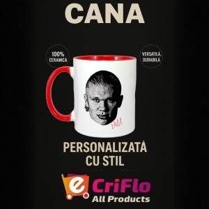 Cana cu fotbalistul Erling Haaland-Manchester City - Img 32