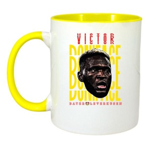 Cana cu fotbalistul Victor Okoh Boniface-Bayer Leverkusen - Img 6