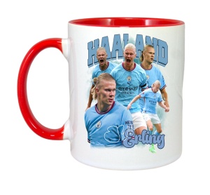 Cana Haaland Erling Manchester City Goal - Img 8