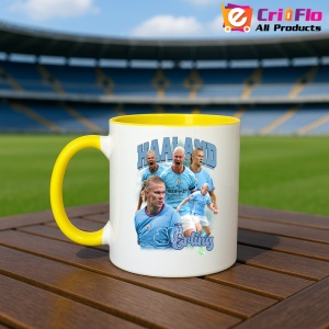 Cana Haaland Erling Manchester City Goal - Img 13