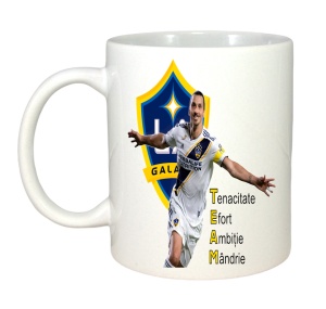 Cana Zlatan Ibra Team - Img 3