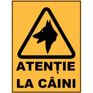 Indicator Atentie la caine, Sticker autocolant