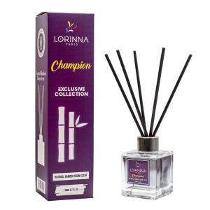 Parfum Odorizant de camera Lorinna Paris Champion 110 ml inspirat din Paco Rabanne INVICTUS