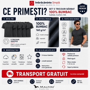 Set 5 tricouri bărbat Malfini Basic Clasic, 100% bumbac, regular fit, 48 culori, mărimi XS–5XL - Img 3