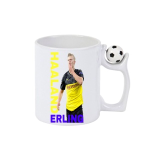 Cana Erling Haaland Best Manchester - Img 2