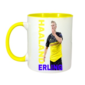 Cana Erling Haaland Best Manchester - Img 6