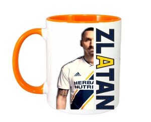 Cana Zlatan Ibrahimovici Best Play