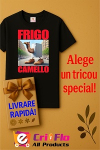 Tricou Copii Tralalelo Tra la la Frigo Camello - Italian Brainrot Meme T-Shirt - Img 7