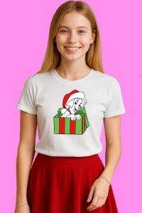 Tricou Dalmatian In Cutie Cadou Craciun, din bumbac 100%, tricou alb, Copii | Dama | Barbat - Img 3