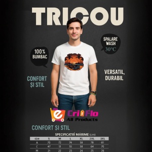 Tricou Rulota portocalie pe plaja cu palmieri si apus 2 Copii | Dama | Barbat - Img 6