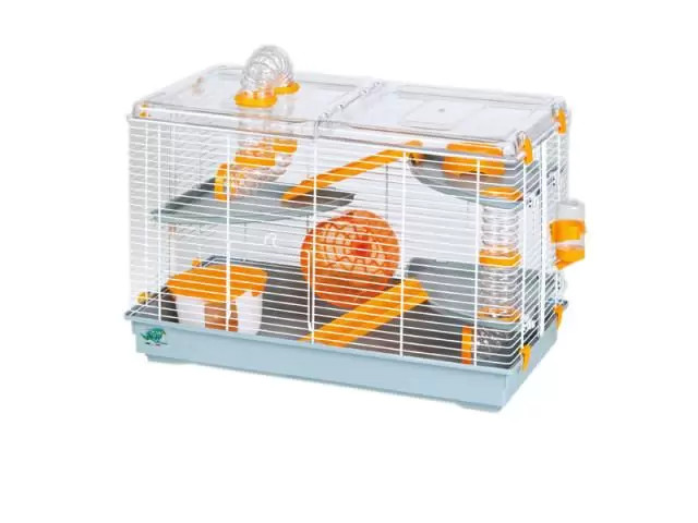 Ce ar trebui sa existe in cusca unui hamster?