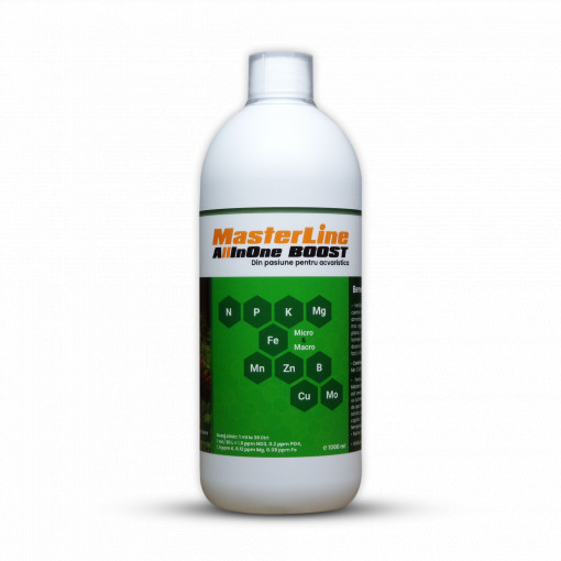 Masterline All in One Boost, 1000 ml