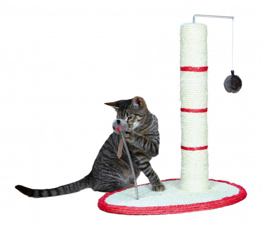 Ansamblu Scratch Me 50 cm 4306
