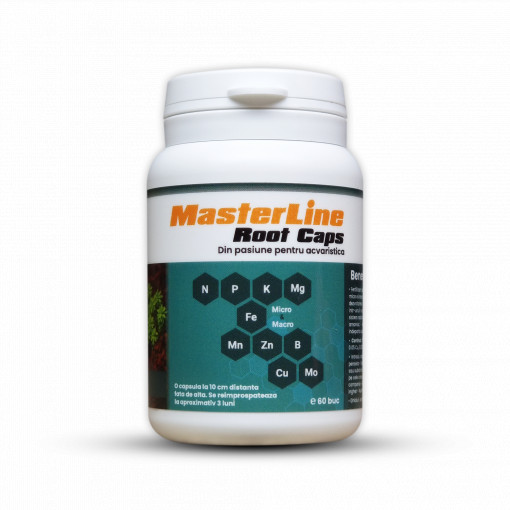 MasterLine Root Caps, 60 Capsule