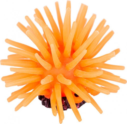 Decor Acvariu Coral 5 cm, R118