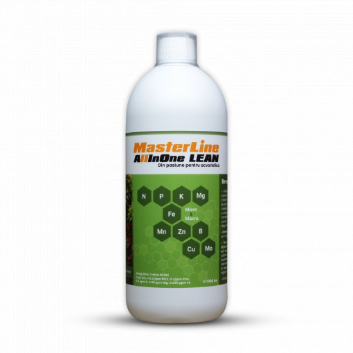 Masterline All in One Lean, 1000ml