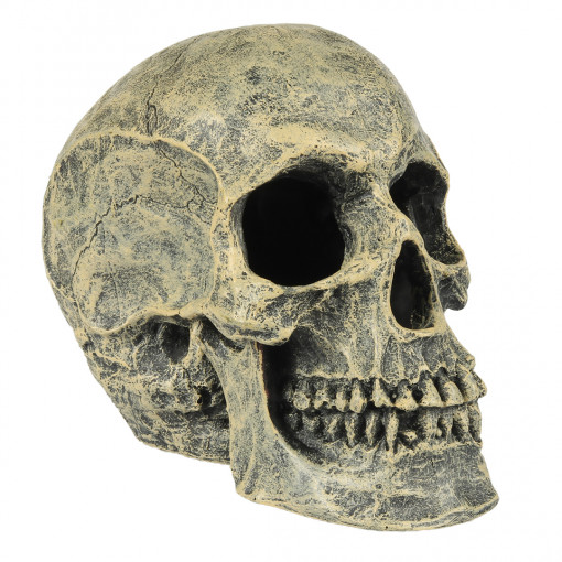 Decor Pentru Acvariu, Craniu, 16x10.5x13.2 cm, L234/449103