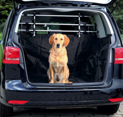Husa Protectie Auto Nylon 230x170 cm 1318