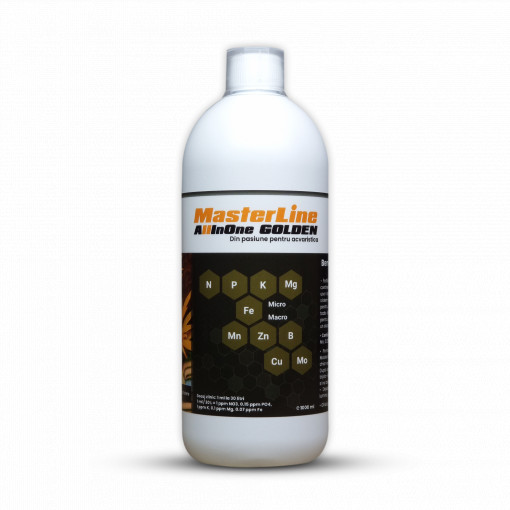 Masterline All in One Golden, 1000ml