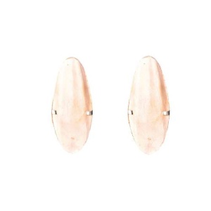 (-20%) Exo- Set 2 Oase De Sepie Cu Suport, Small