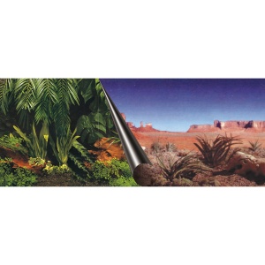 Fundal acvariu jungla si desert 120 x 50 cm