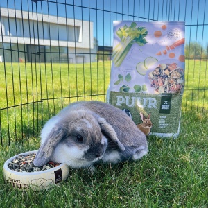 Hrana Pentru Iepuri, Puur, Musli Gourmet Cu Legume, 600 g - Img 4