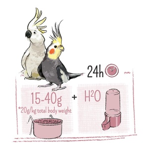 Hrana Pentru Nimfe, Puur, Mix De Seminte, 750 g - Img 2