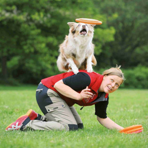 Jucarie Dog Activity, Frissbee, Diverse Culori, 19 cm - Img 4