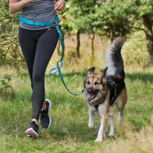 Lesa Jogging pentru Caini S si M, Talie: 60-130 cm, Lesa: 1.2 m/15 mm, 12765 - Img 5