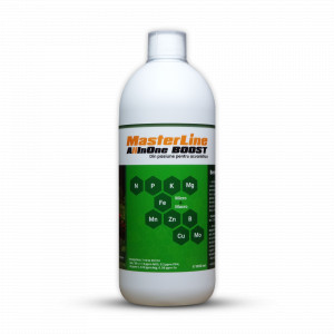Masterline All in One Boost, 1000 ml