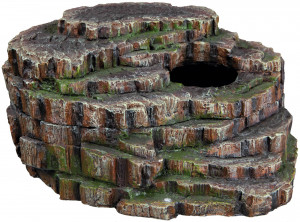Pestera Sarpelui, 26 x 20 x 13 cm