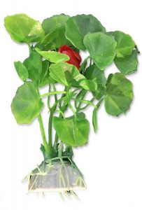 Plante artificiale, blister, 10 cm, Verde, 1B23