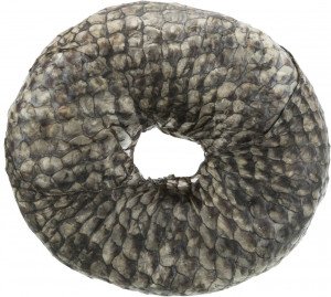 Recompensa pentru Caini, Denta Fun, Inel de Mestecat cu Peste, 10 cm/110g, (10buc/Set)-Pret bucata
