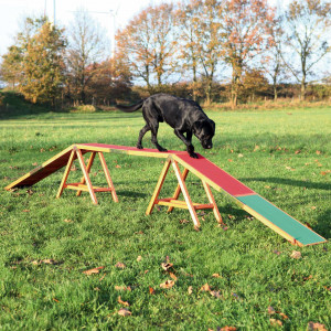 Barna pentru Caini, Fun Agility, 456 x 64 x 30 cm, Pana la 80 kg