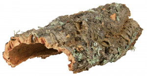 Decor Reptile si Rozatoare, <40cm, 76405