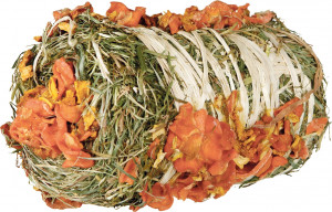 Fan cu Dovleac si Morcovi pentru Rozatoare, ø 10 × 18 cm, 200 g, 60793