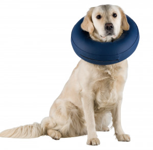 Guler Protector Gomflabil L-XL Cir 66-78 cm Albastru 19544 - Img 2