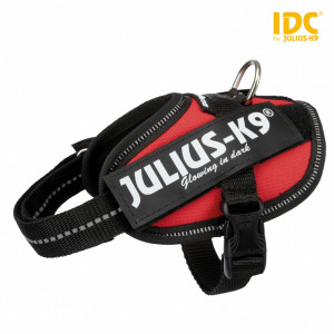 Ham Julius-K9 IDC Baby, 2XS, 33–45 cm/18 mm, Culoare Rosu, Produs Redus