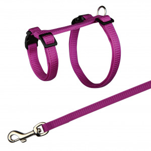 Ham Si Lesa Pentru Iepuri, 25-44 cm/10 mm, 1.25 m, Diverse Culori