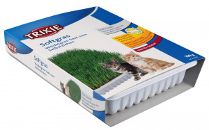 Iarba Pisicii Soft, Continut Cutie: 100 g
