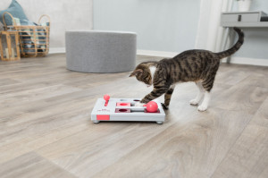 Jucarie Cat Activity, Brain Mover, 25 x 20 cm - Img 8